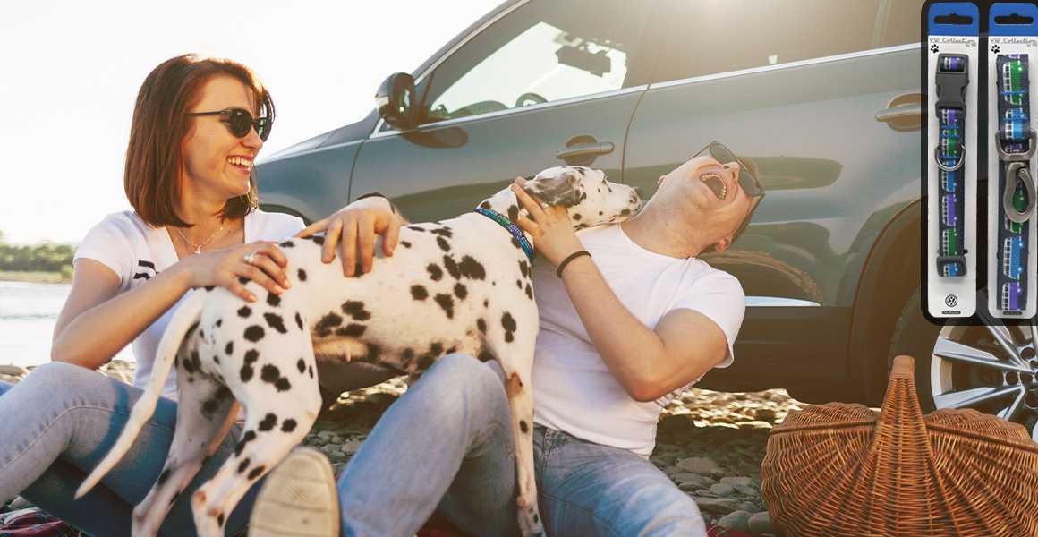 Cool-Collar-Lifestyle