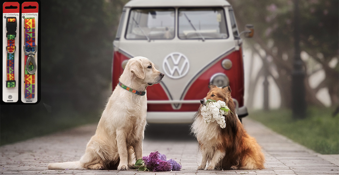 Pop-Collar-Lifestyle